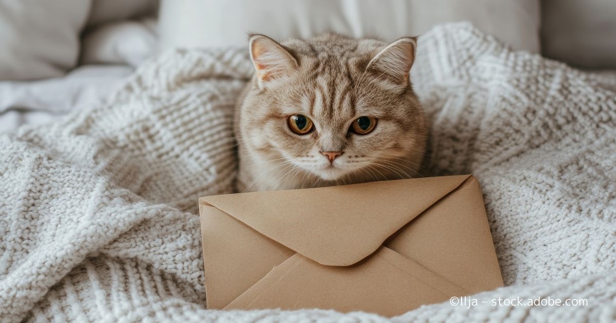 独男独猫　レターパック発送 こねこ便420 | ヤマト運輸